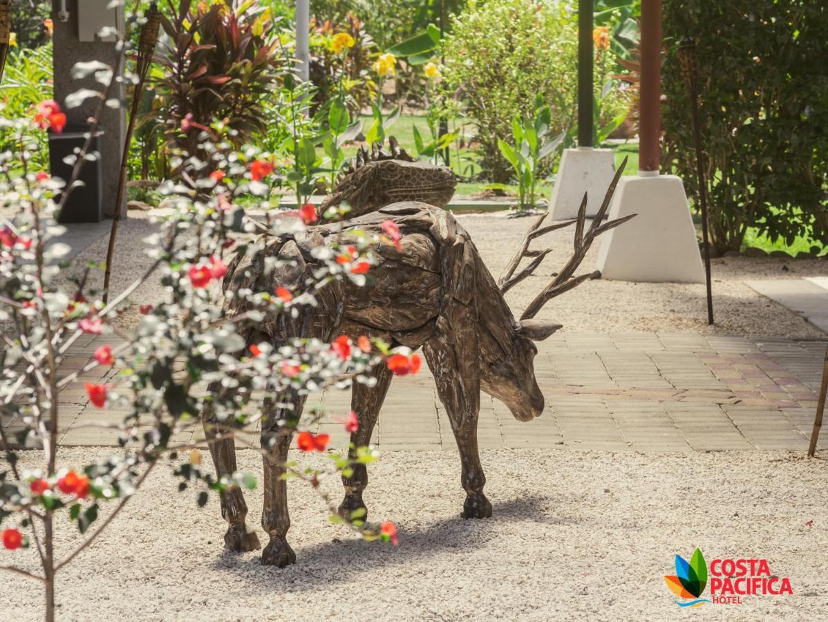 Hotel Costa Pacifica Esterillos Dış mekan fotoğraf